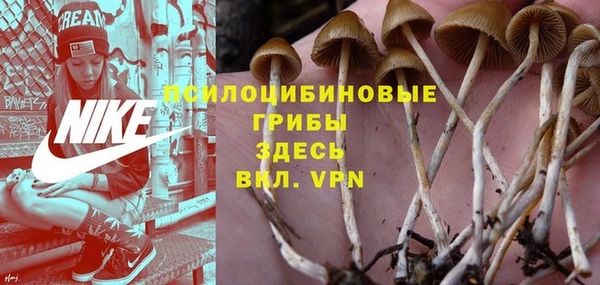 круглые Вяземский