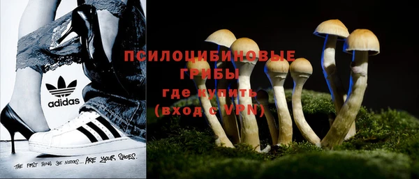 спайс Вязьма