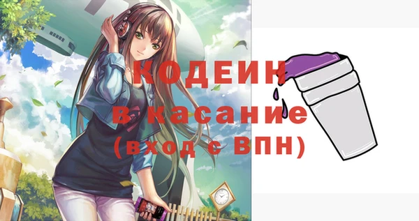 ГАЛЛЮЦИНОГЕННЫЕ ГРИБЫ Горняк
